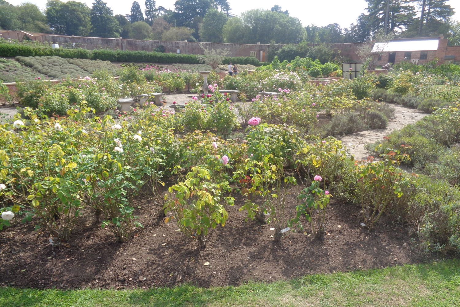 Croome Walled Garden, talks cover image, for page Garden Talks & Lectures