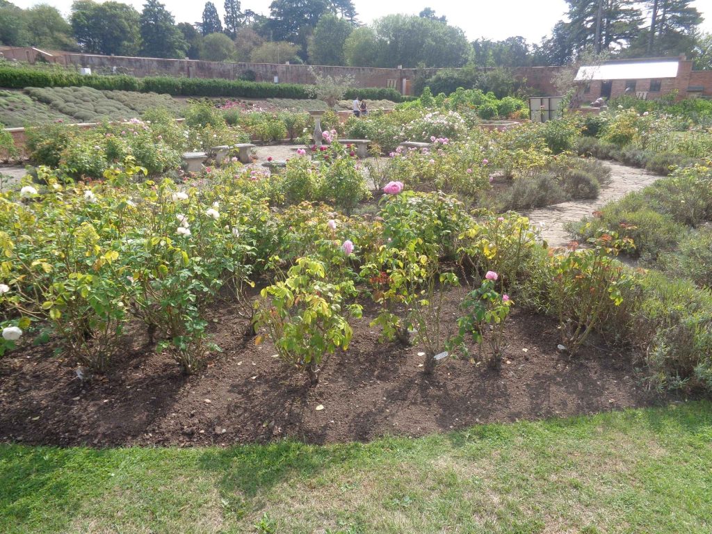 An image of Croome Walled Garden for webpage: The Garden History Detective's Gallery